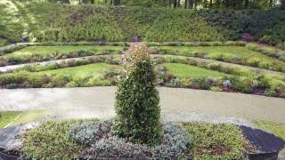 Der Mensch-Tier Friedhof "Unser Hafen"